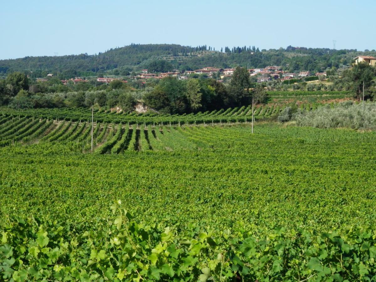 Agriturismo Fioralba Polpenazze del Garda Exterior foto
